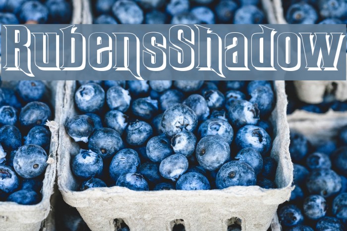RubensShadow Font examples