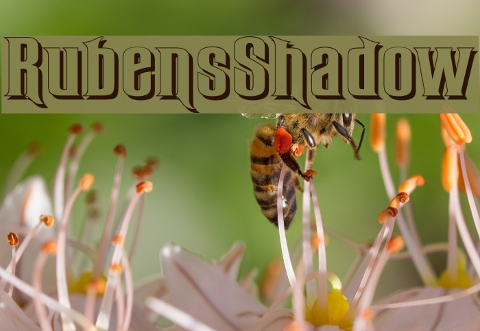 RubensShadow Font examples