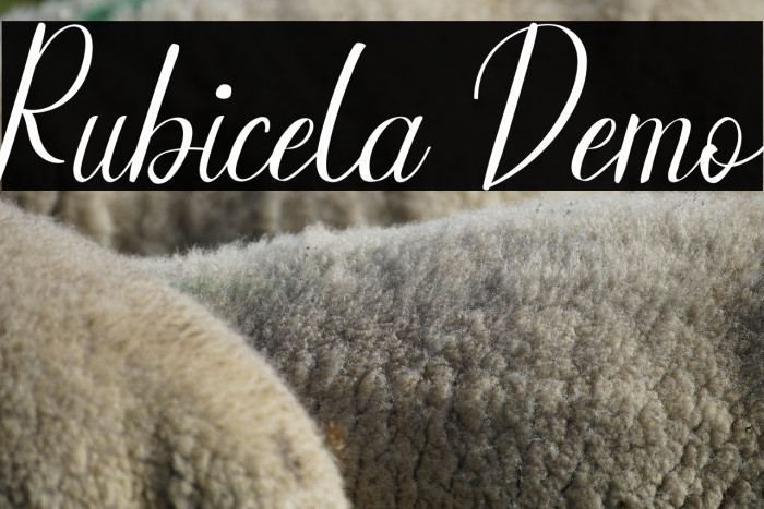 Rubicela Demo Example 1