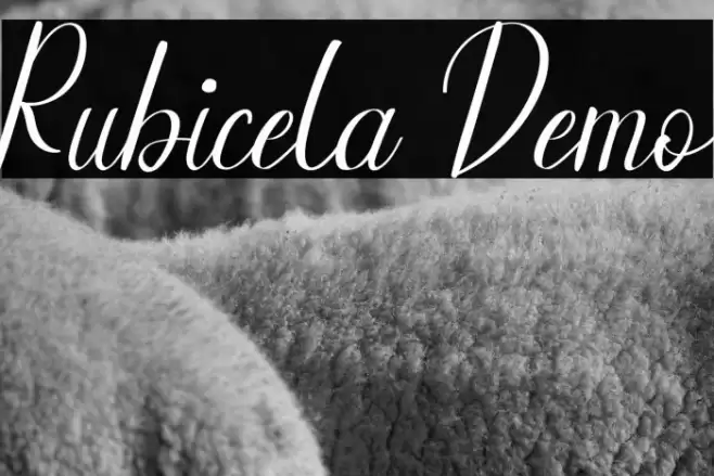 Rubicela Demo Font examples