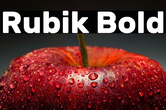 Rubik Bold Example 2