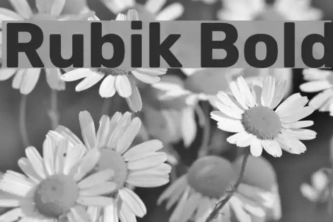 Rubik Bold Font examples