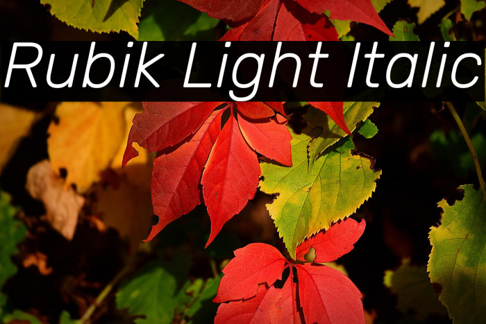 Rubik Light Italic Example 2