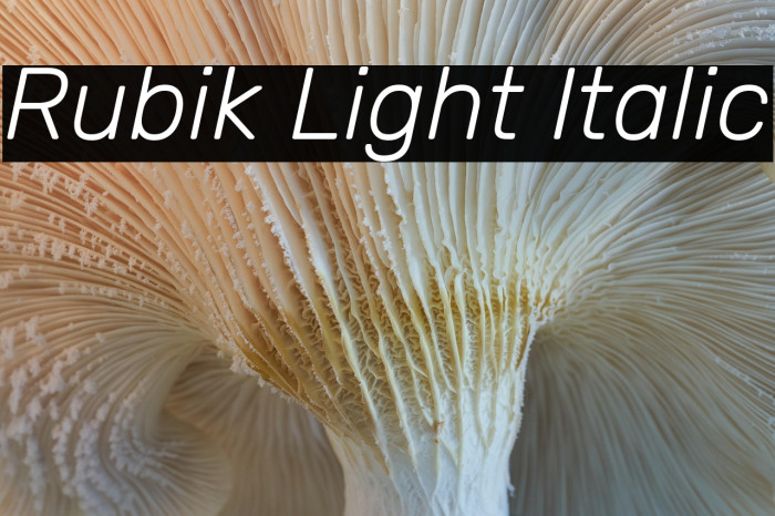 Rubik Light Italic Example 2