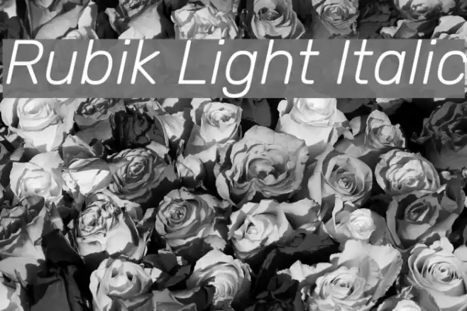 Rubik Light Italic Font examples