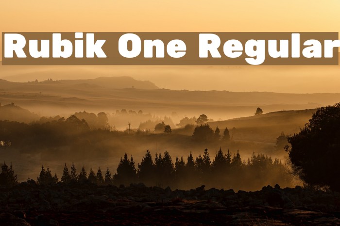 Rubik One Regular Font examples