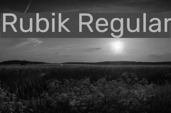 Rubik Regular Font examples