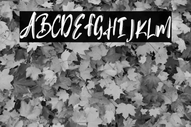 Rubin Key Font examples