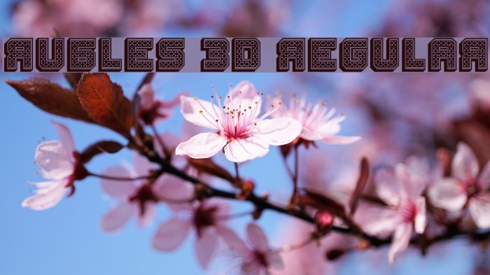 Rubles 3D Regular Font examples