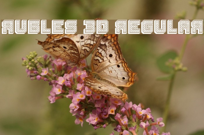 Rubles 3D Regular Font examples