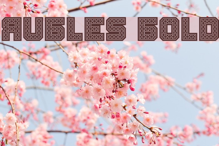 Rubles Bold Font examples