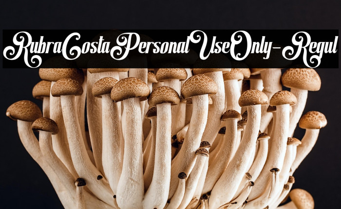 RubraCostaPersonalUseOnly-Regul Example 2