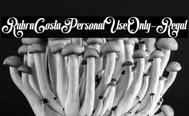 RubraCostaPersonalUseOnly-Regul Font examples