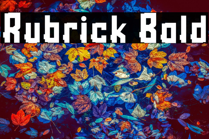 Rubrick Bold Example 1