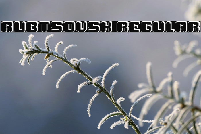 Rubtsovsk Regular Example 3