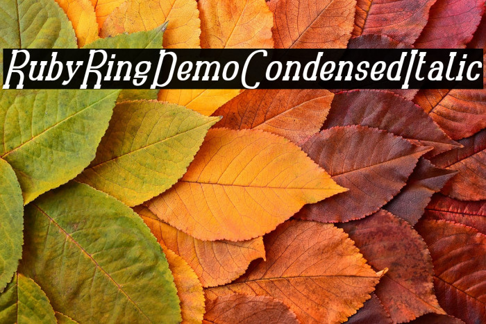 RubyRingDemo Condensed Italic Example 1