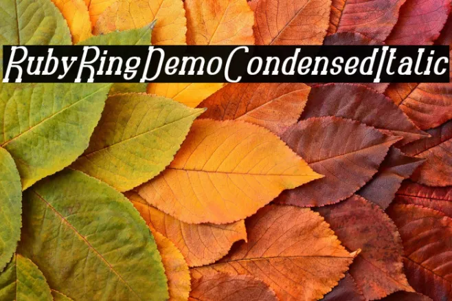 RubyRingDemo Condensed Italic Example 1