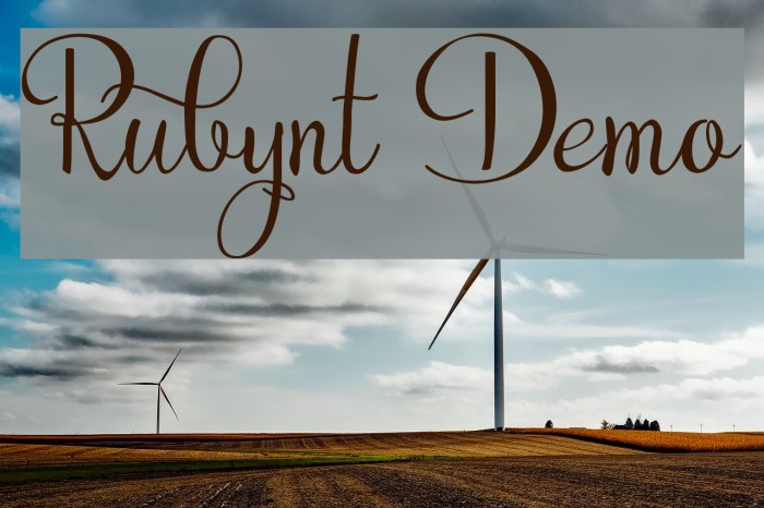 Rubynt Demo フォント examples