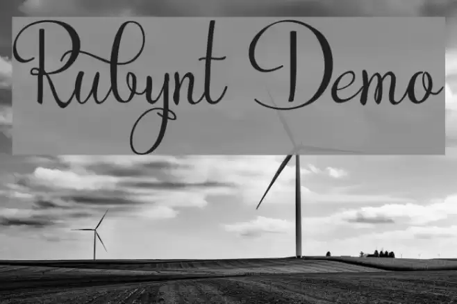 Rubynt Demo フォント examples