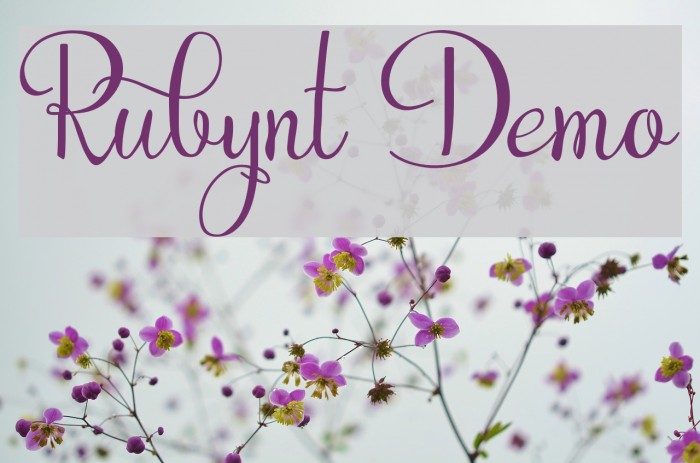 Rubynt Demo フォント examples