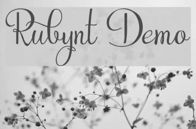 Rubynt Demo フォント examples