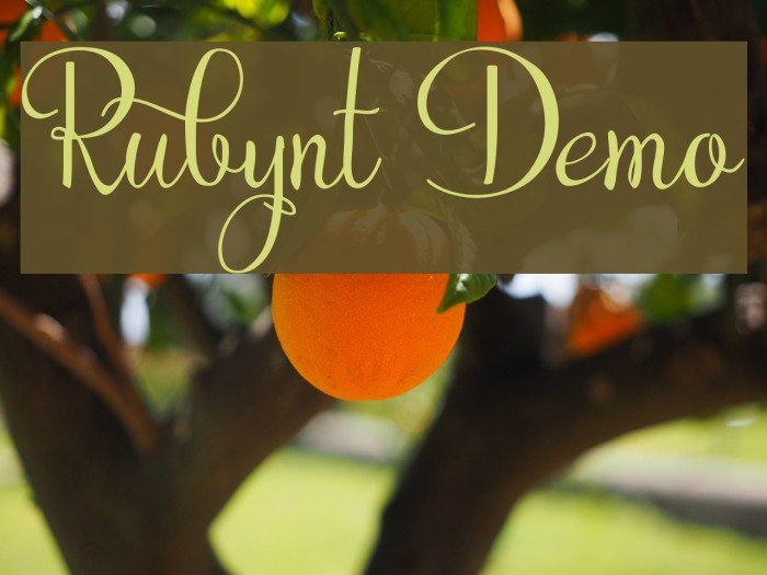 Rubynt Demo フォント examples