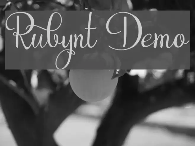 Rubynt Demo フォント examples
