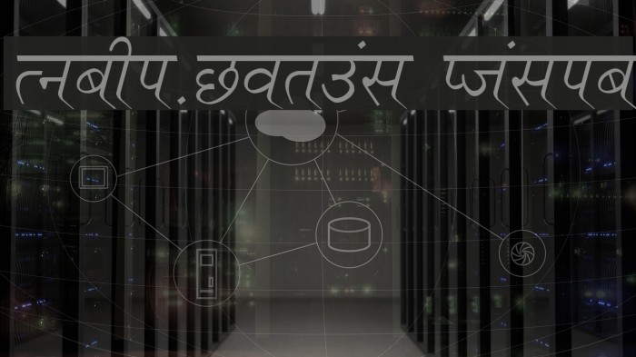 Ruchi-Normal Italic Example 3