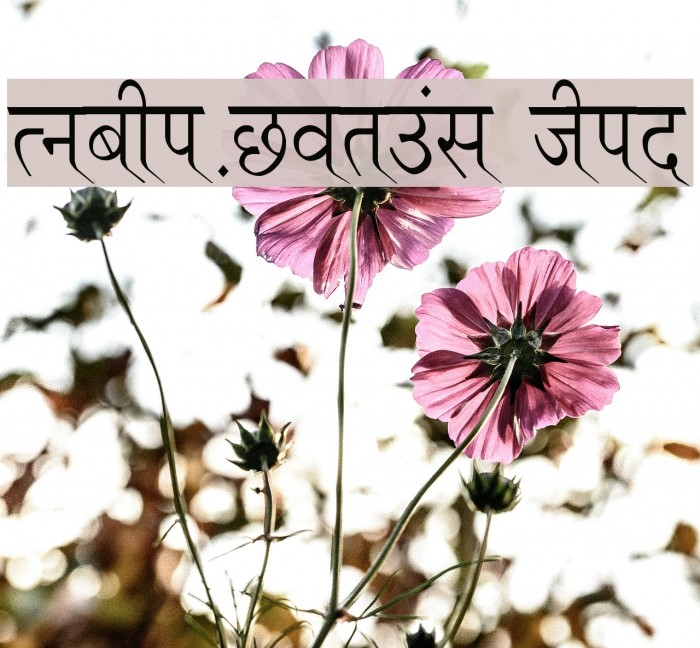Ruchi-Normal Thin Font examples