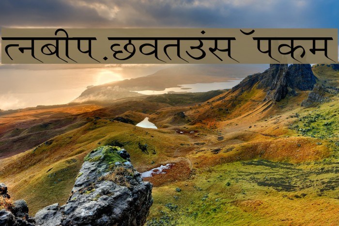 Ruchi-Normal Wide Example 2