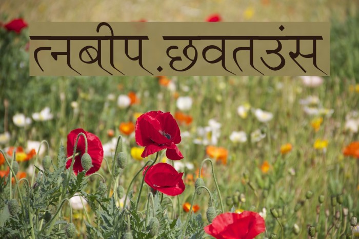 Ruchi-Normal Example 2