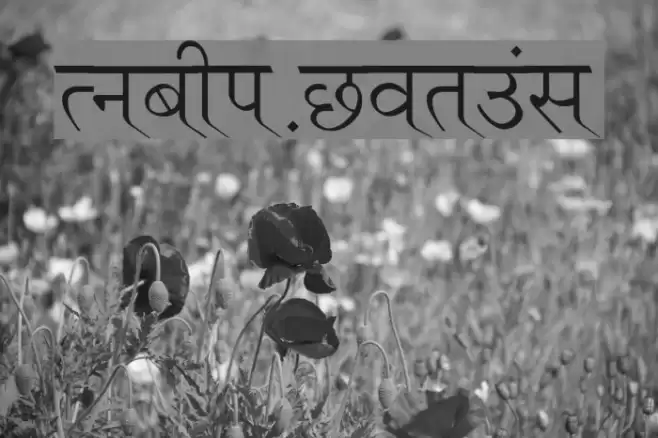 Ruchi-Normal Font examples