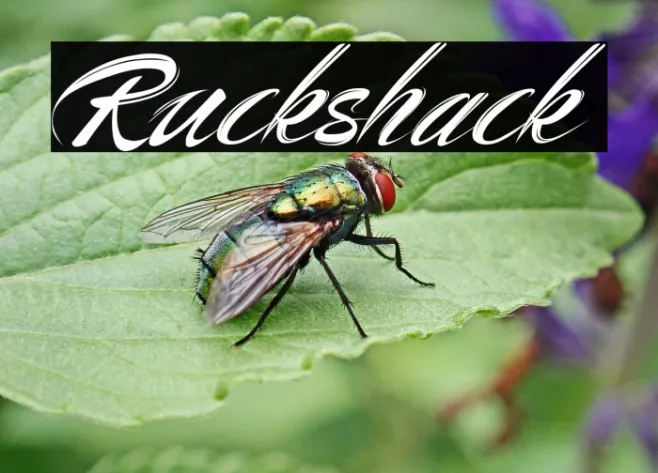 Ruckshack Example 3