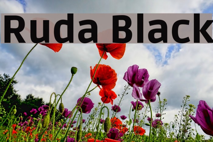 Ruda Black Font examples