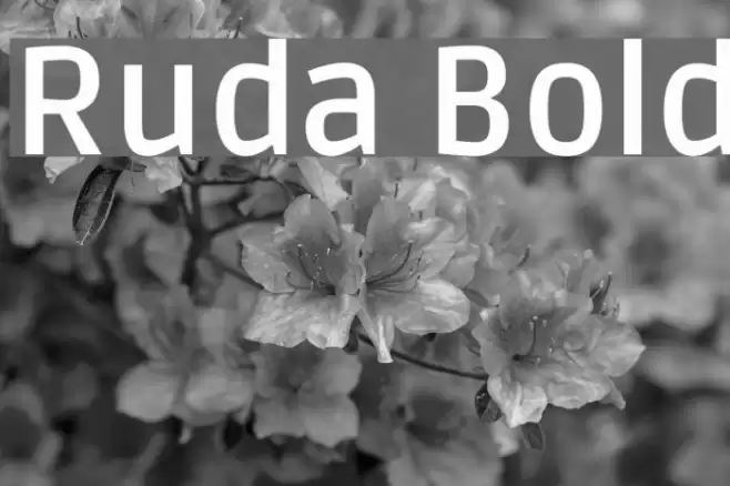Ruda Bold Font examples