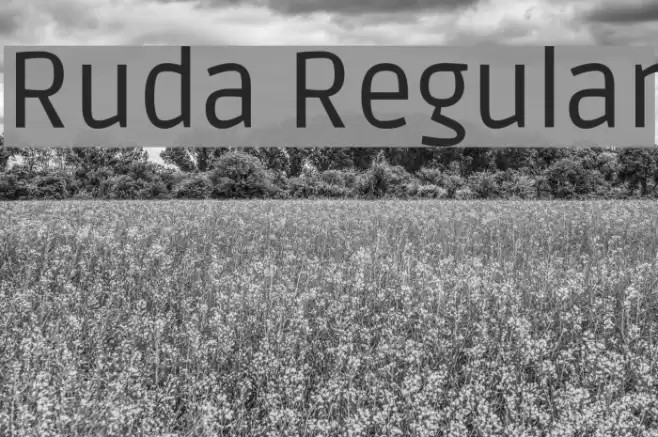 Ruda Regular Font examples