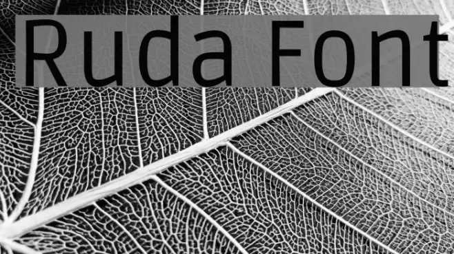Ruda Font examples