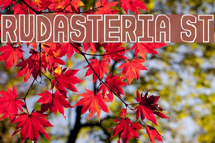Rudasteria St Font examples