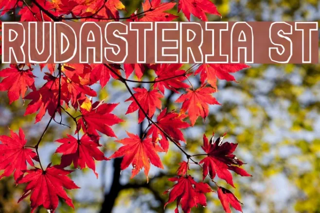 Rudasteria St Example 1
