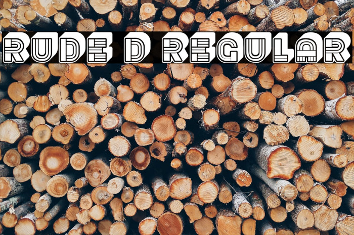 Rude 3D Regular Font examples