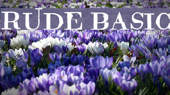 Rude Basic Font examples