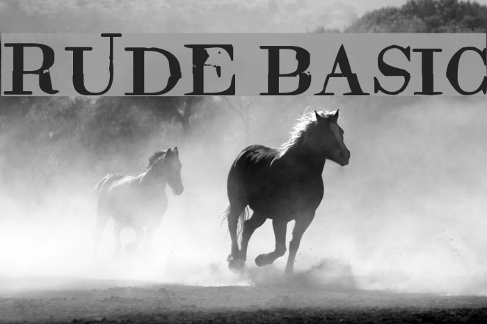 Rude Basic Font examples