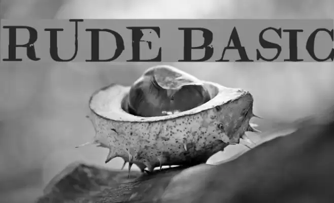 Rude Basic Font examples