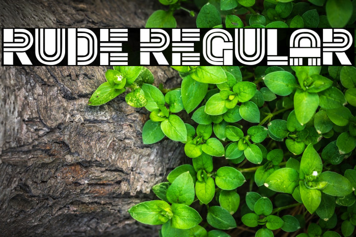 Rude Regular Font examples