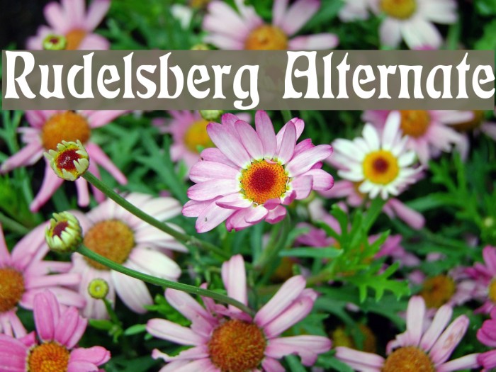 Rudelsberg Alternate Font examples