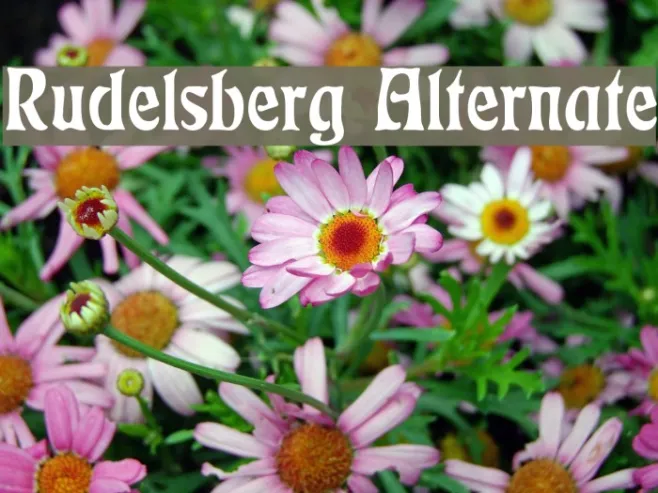 Rudelsberg Alternate Example 2