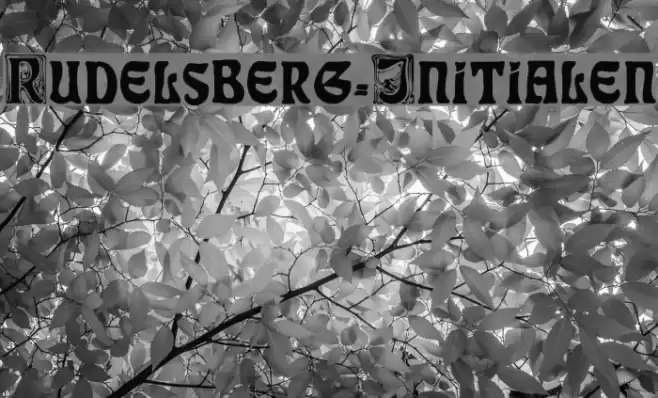 Rudelsberg-Initialen Font examples