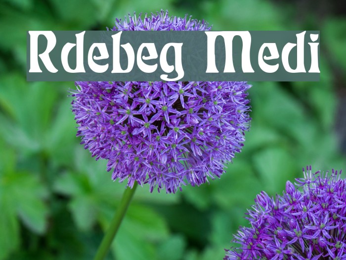 Rudelsberg Medium Font examples
