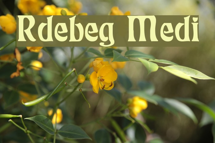 Rudelsberg Medium Font examples