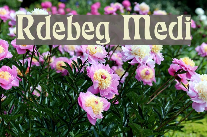 Rudelsberg Medium Font examples